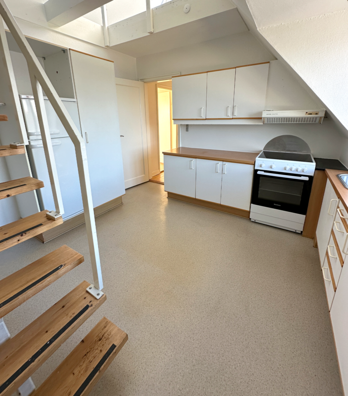 Parkvej 10, 4. th., 9000 Aalborg - Billede 3
