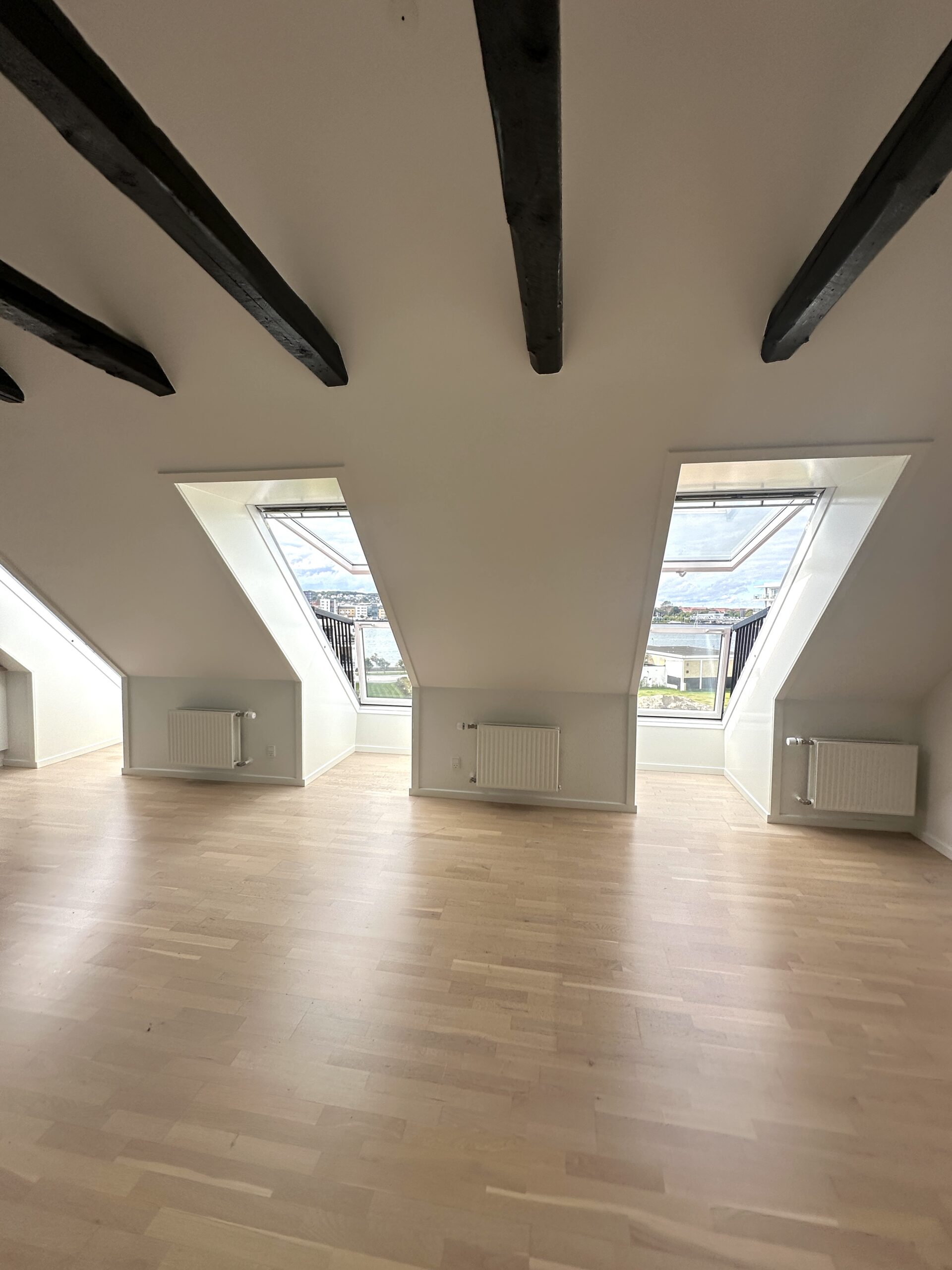 20250926_085537579_iOS