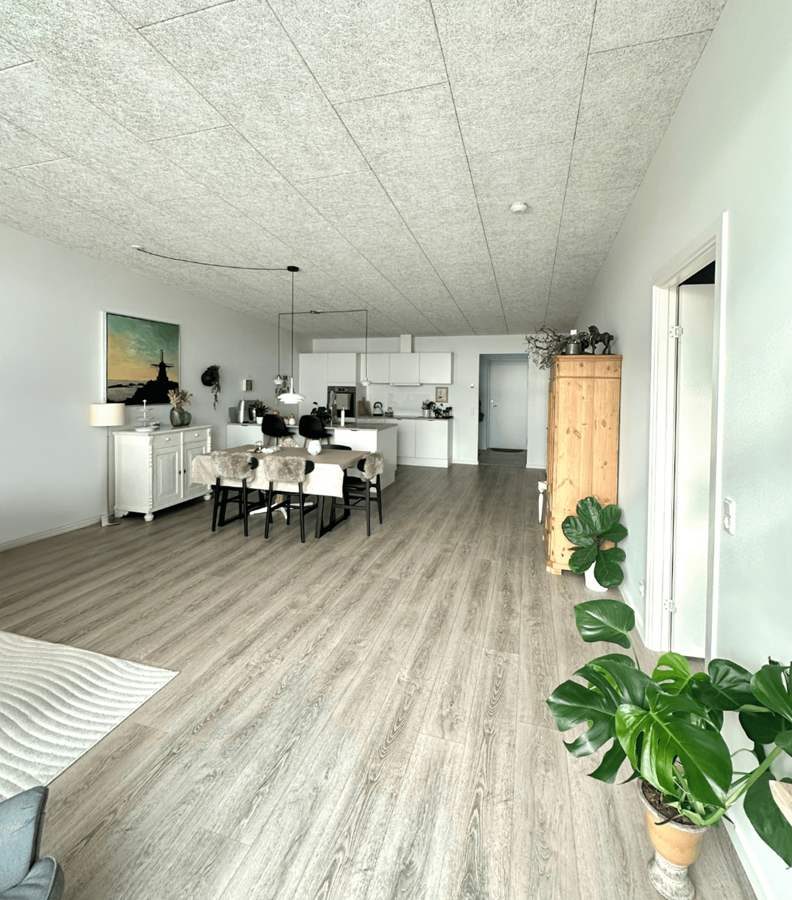 blomsterkærethjørr